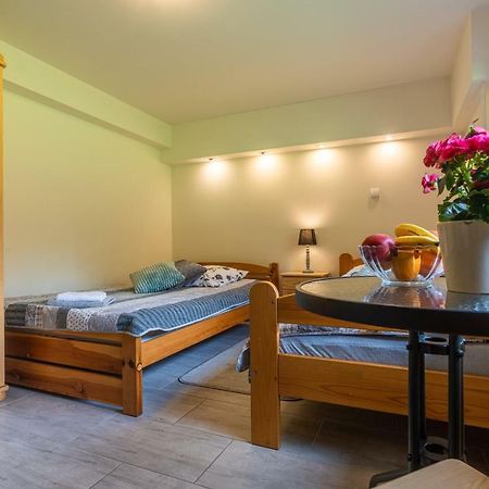 Apartament Ewa ザコパネ エクステリア 写真