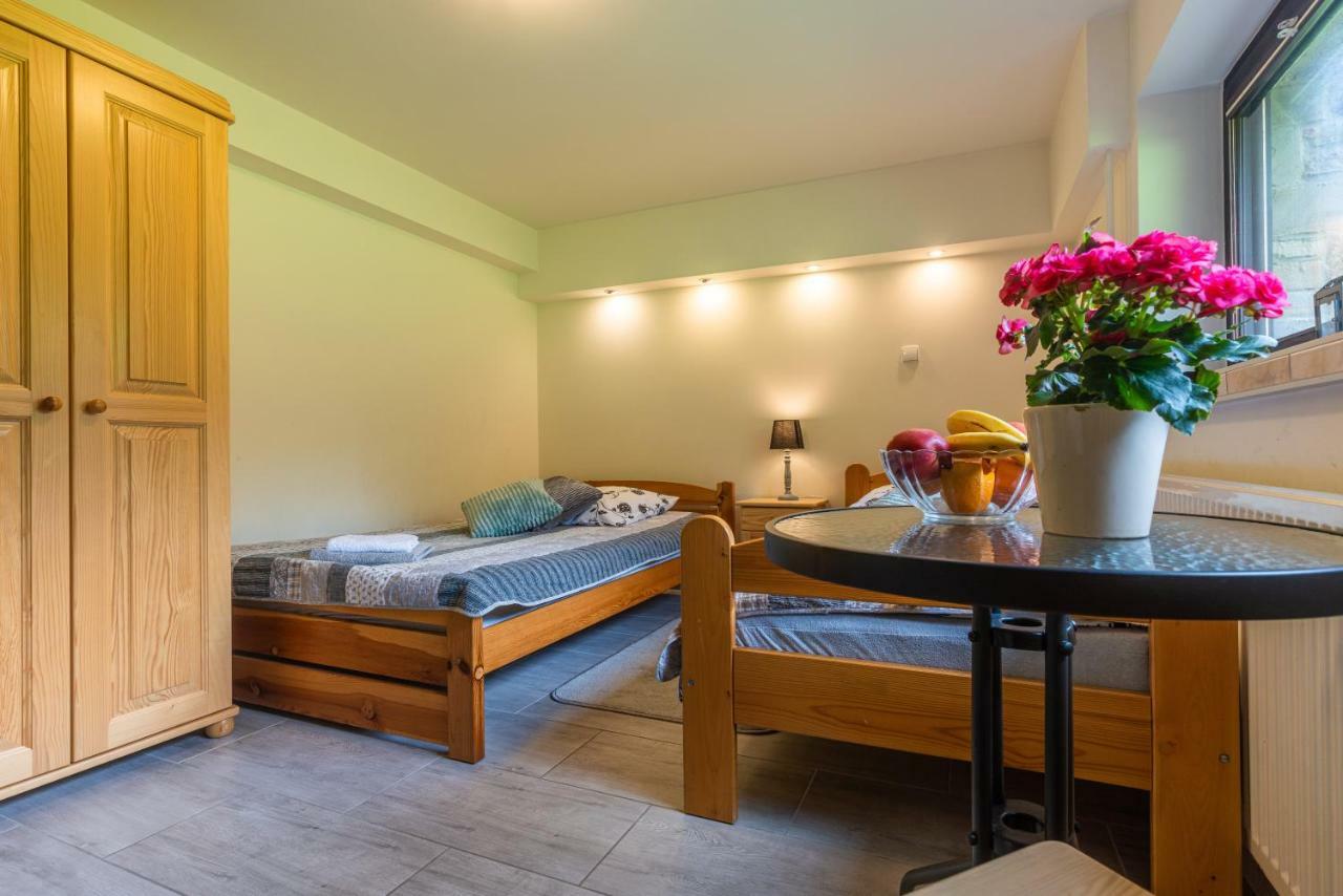 Apartament Ewa ザコパネ エクステリア 写真