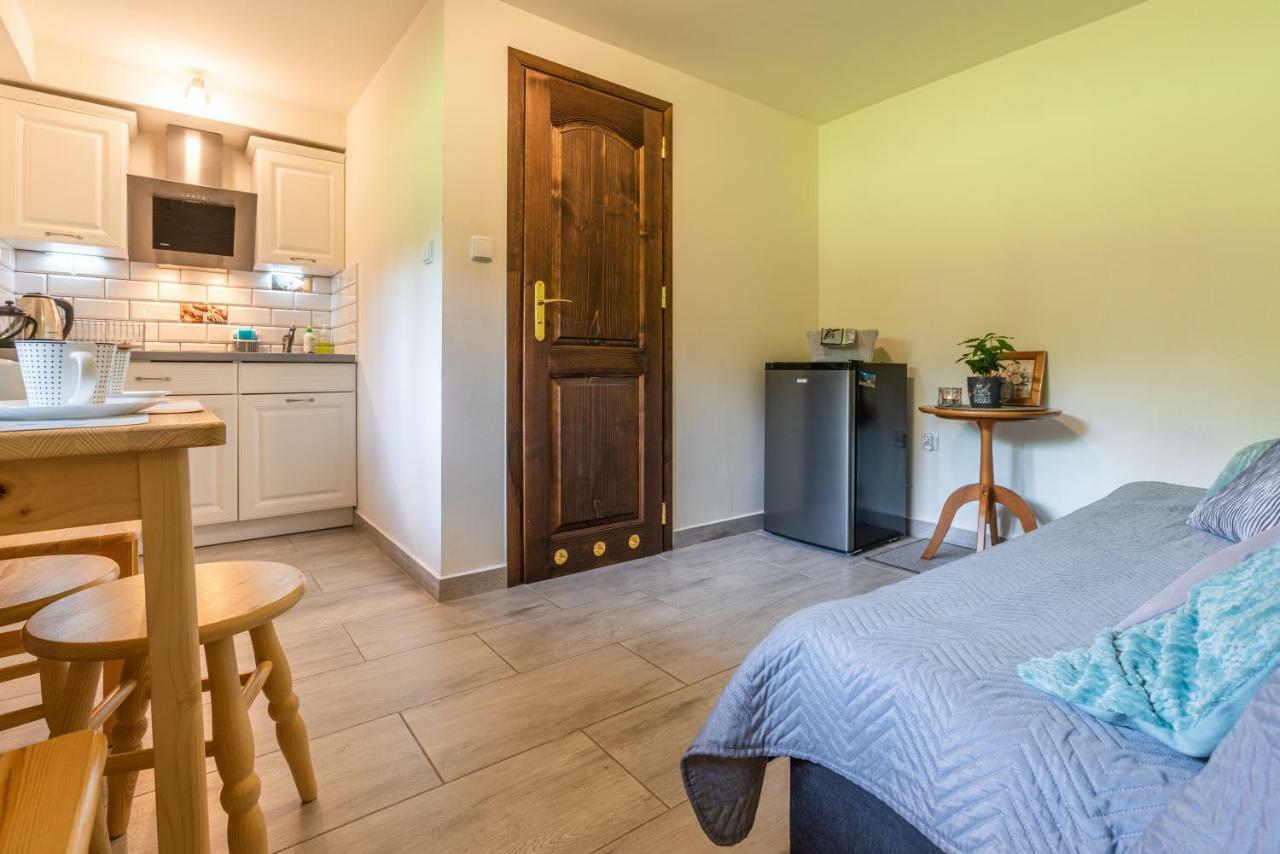 Apartament Ewa ザコパネ エクステリア 写真