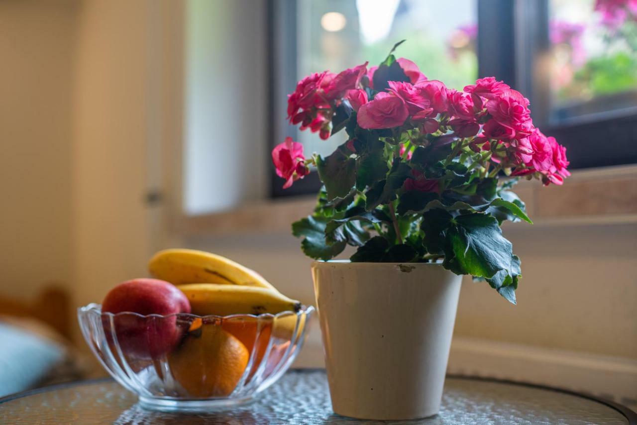 Apartament Ewa ザコパネ エクステリア 写真